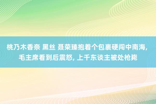 桃乃木香奈 黑丝 聂荣臻抱着个包裹硬闯中南海, 毛主席看到后震怒, 上千东谈主被处枪毙