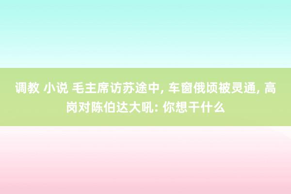调教 小说 毛主席访苏途中, 车窗俄顷被灵通, 高岗对陈伯达大吼: 你想干什么