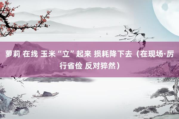 萝莉 在线 玉米“立”起来 损耗降下去（在现场·厉行省俭 反对猝然）