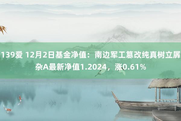 139爱 12月2日基金净值：南边军工篡改纯真树立羼杂A最新净值1.2024，涨0.61%