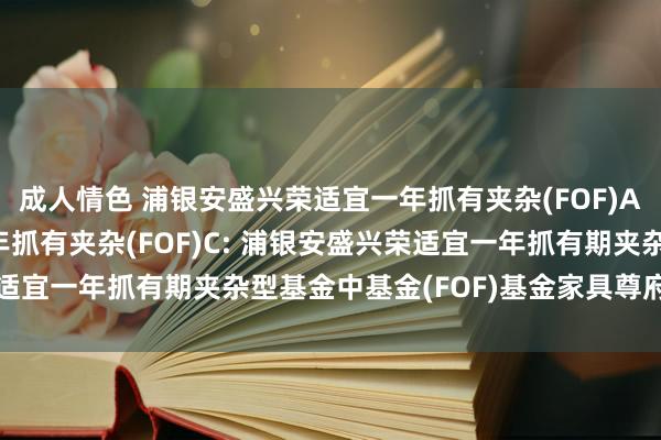 成人情色 浦银安盛兴荣适宜一年抓有夹杂(FOF)A,浦银安盛兴荣适宜一年抓有夹杂(FOF)C: 浦银安盛兴荣适宜一年抓有期夹杂型基金中基金(FOF)基金家具尊府概要更新