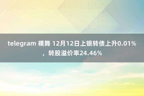 telegram 裸舞 12月12日上银转债上升0.01%，转股溢价率24.46%