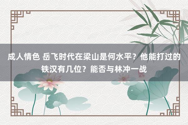 成人情色 岳飞时代在梁山是何水平？他能打过的铁汉有几位？能否与林冲一战