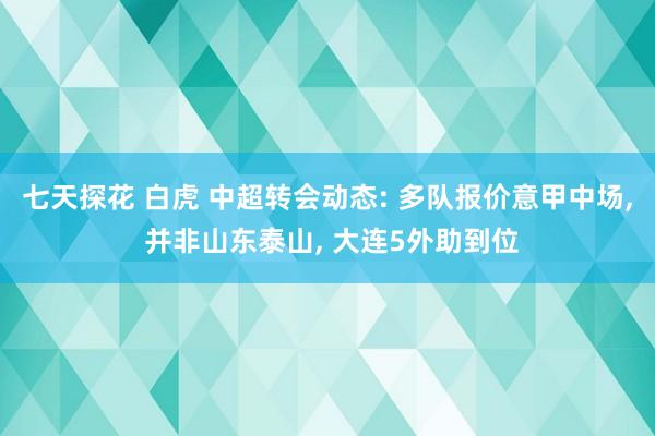 七天探花 白虎 中超转会动态: 多队报价意甲中场, 并非山东泰山, 大连5外助到位