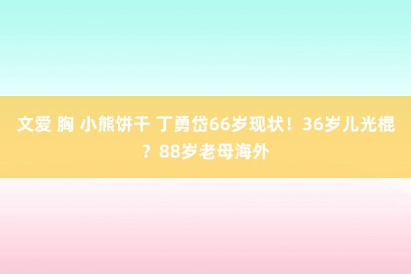 文爱 胸 小熊饼干 丁勇岱66岁现状！36岁儿光棍？88岁老母海外