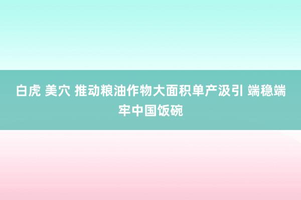 白虎 美穴 推动粮油作物大面积单产汲引 端稳端牢中国饭碗