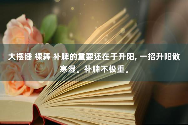 大摆锤 裸舞 补脾的重要还在于升阳, 一招升阳散寒湿。补脾不极重。