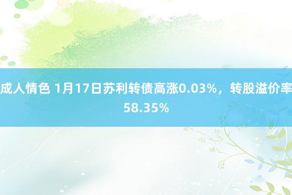 成人情色 1月17日苏利转债高涨0.03%，转股溢价率58.35%