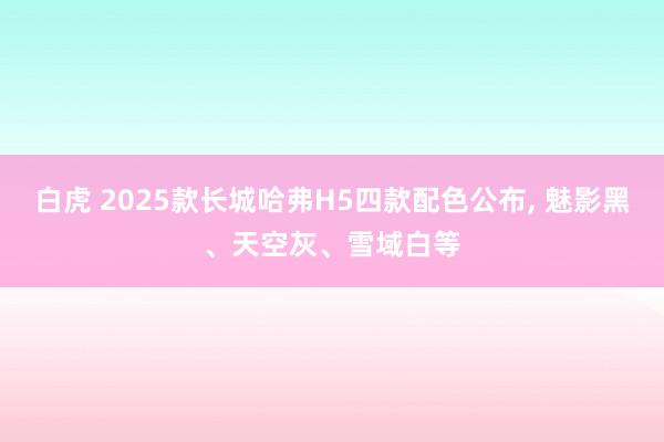 白虎 2025款长城哈弗H5四款配色公布, 魅影黑、天空灰、雪域白等