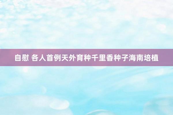 自慰 各人首例天外育种千里香种子海南培植