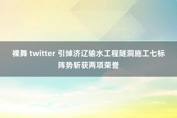 裸舞 twitter 引绰济辽输水工程隧洞施工七标阵势斩获两项荣誉