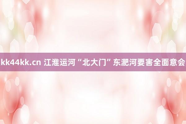 kk44kk.cn 江淮运河“北大门”东淝河要害全面意会