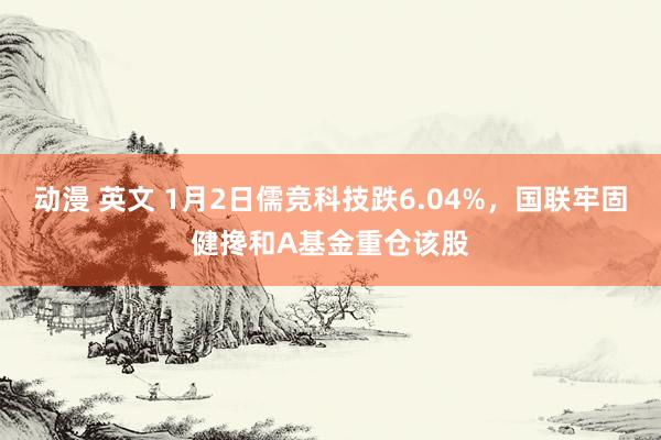 动漫 英文 1月2日儒竞科技跌6.04%，国联牢固健搀和A基金重仓该股