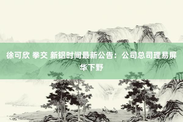 徐可欣 拳交 新铝时间最新公告：公司总司理易屏华下野