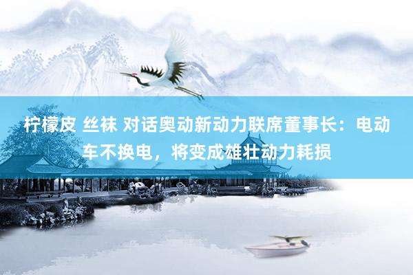 柠檬皮 丝袜 对话奥动新动力联席董事长：电动车不换电，将变成雄壮动力耗损