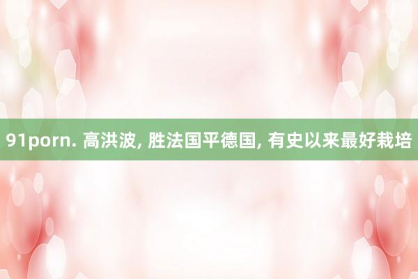 91porn. 高洪波， 胜法国平德国， 有史以来最好栽培