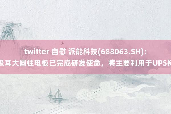twitter 自慰 派能科技(688063.SH)：全极耳大圆柱电板已完成研发使命，将主要利用于UPS标的