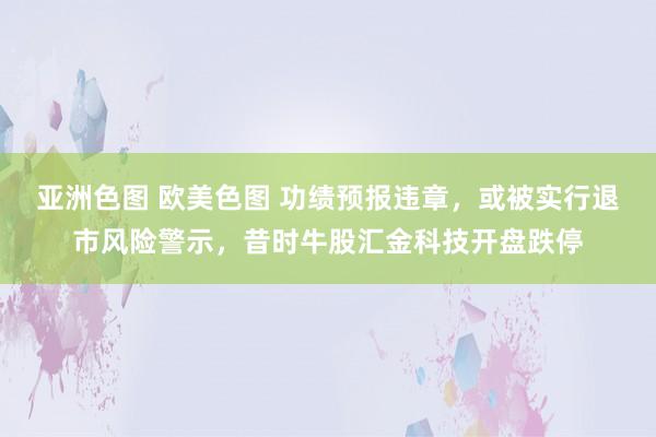 亚洲色图 欧美色图 功绩预报违章，或被实行退市风险警示，昔时牛股汇金科技开盘跌停