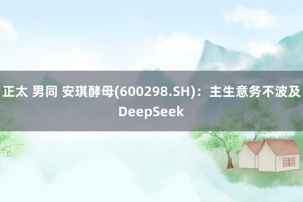 正太 男同 安琪酵母(600298.SH)：主生意务不波及DeepSeek