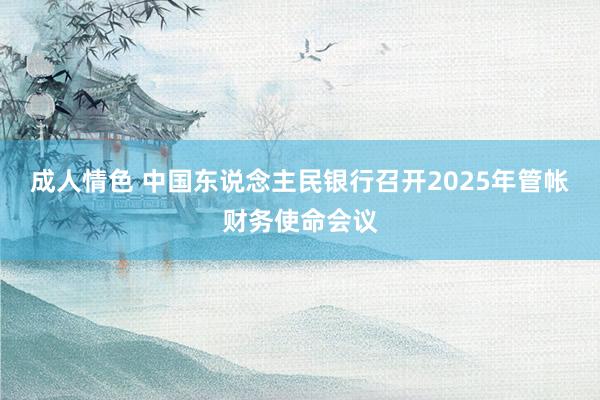成人情色 中国东说念主民银行召开2025年管帐财务使命会议