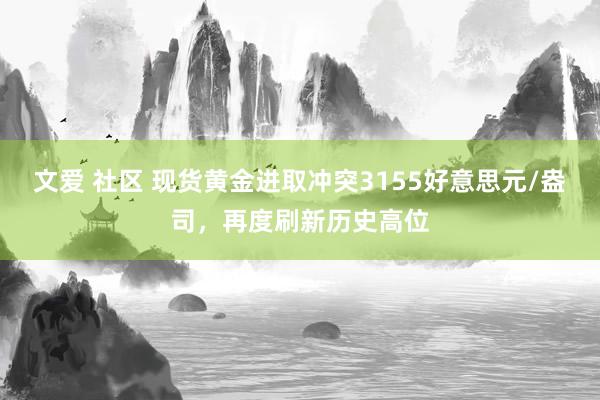文爱 社区 现货黄金进取冲突3155好意思元/盎司，再度刷新历史高位