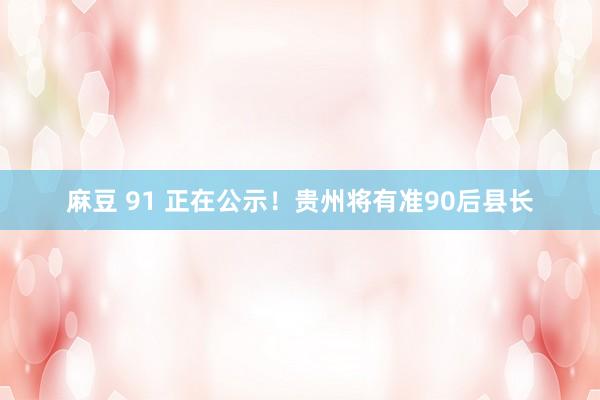 麻豆 91 正在公示！贵州将有准90后县长