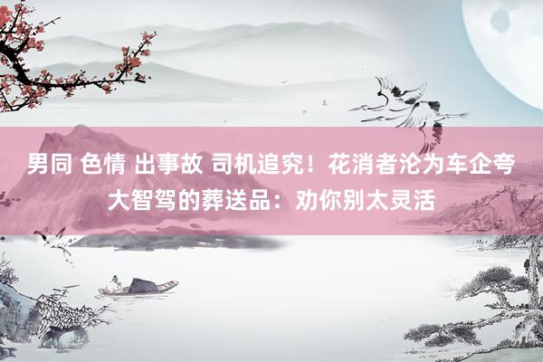 男同 色情 出事故 司机追究！花消者沦为车企夸大智驾的葬送品：劝你别太灵活
