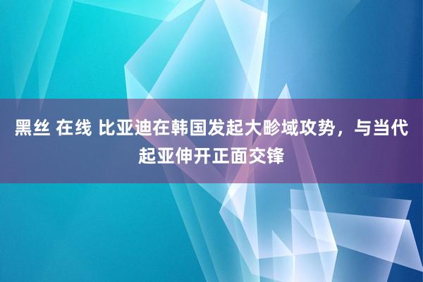 黑丝 在线 比亚迪在韩国发起大畛域攻势，与当代起亚伸开正面交锋