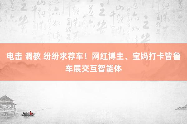 电击 调教 纷纷求荐车！网红博主、宝妈打卡皆鲁车展交互智能体