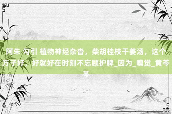 阿朱 勾引 植物神经杂沓，柴胡桂枝干姜汤，这个方子好，好就好在时刻不忘顾护脾_因为_嗅觉_黄芩