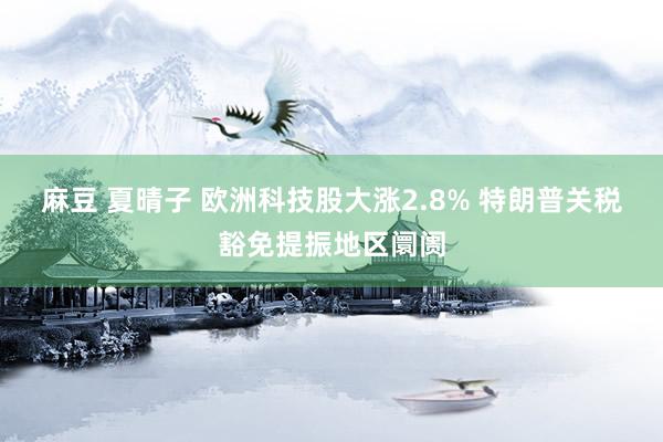 麻豆 夏晴子 欧洲科技股大涨2.8% 特朗普关税豁免提振地区阛阓