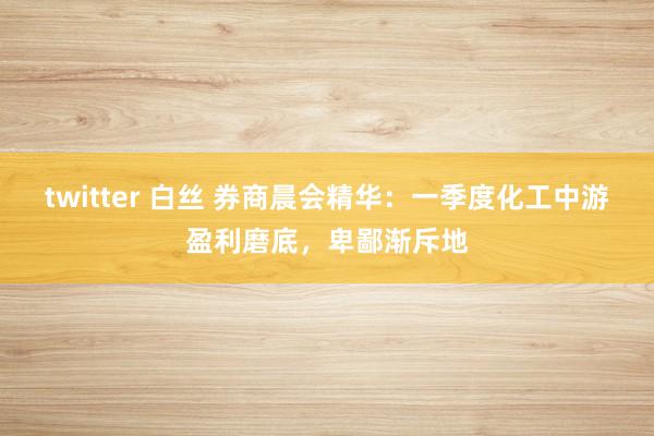 twitter 白丝 券商晨会精华：一季度化工中游盈利磨底，卑鄙渐斥地