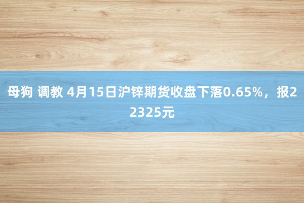 母狗 调教 4月15日沪锌期货收盘下落0.65%，报22325元