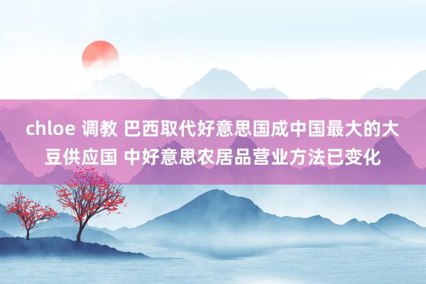 chloe 调教 巴西取代好意思国成中国最大的大豆供应国 中好意思农居品营业方法已变化