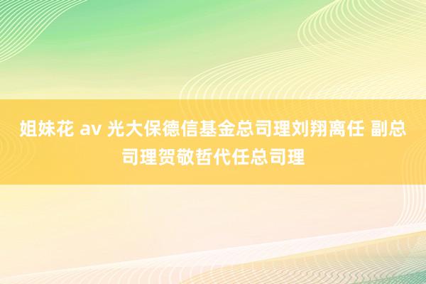 姐妹花 av 光大保德信基金总司理刘翔离任 副总司理贺敬哲代任总司理