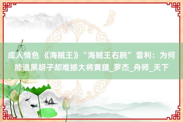 成人情色 《海贼王》“海贼王右腕” 雷利：为何能退黑胡子却难撼大将黄猿_罗杰_舟师_天下