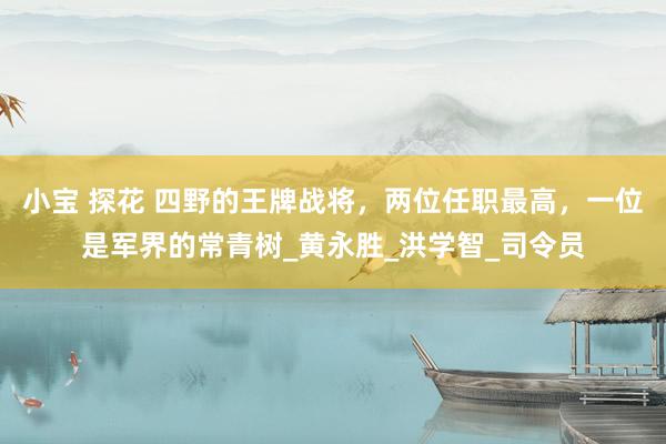 小宝 探花 四野的王牌战将，两位任职最高，一位是军界的常青树_黄永胜_洪学智_司令员