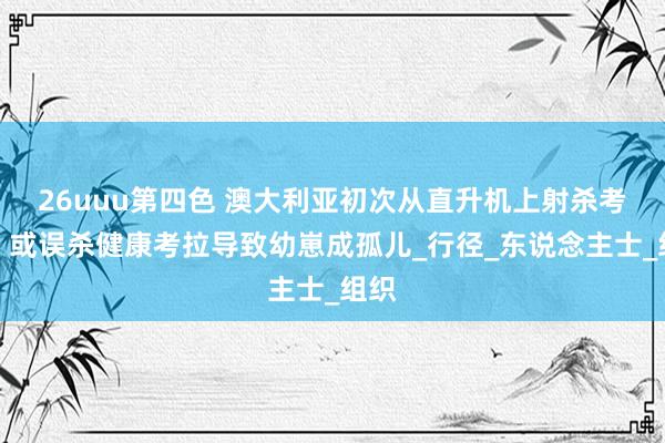 26uuu第四色 澳大利亚初次从直升机上射杀考拉，或误杀健康考拉导致幼崽成孤儿_行径_东说念主士_组织