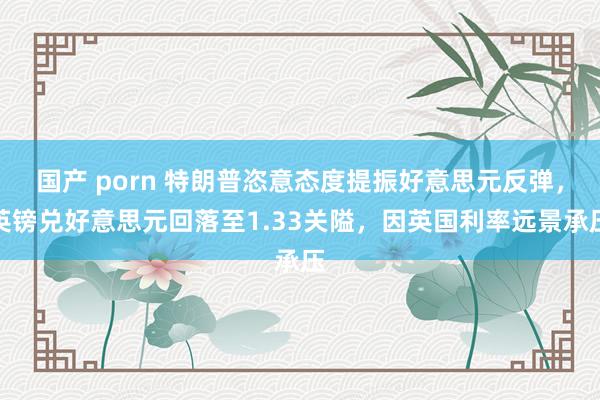 国产 porn 特朗普恣意态度提振好意思元反弹，英镑兑好意思元回落至1.33关隘，因英国利率远景承压